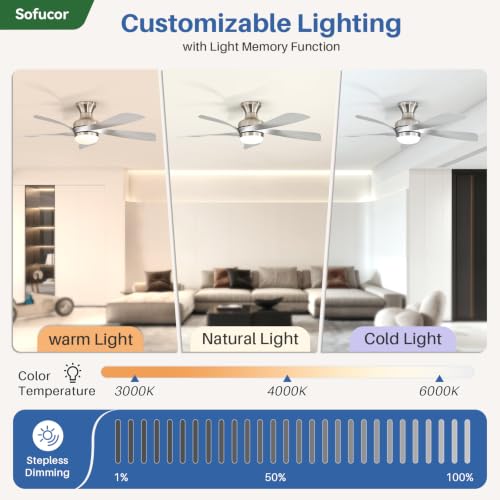 42 Inch Low Profile Ceiling Fans with Lights and Remote (Silver+Nickel / 42 inch)