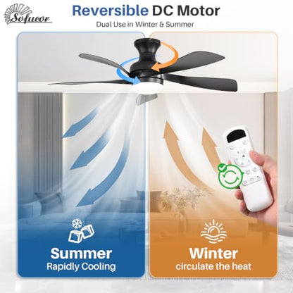 Ceiling Fans with Lights and Remote