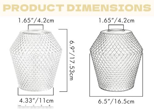 2Pcs Small Glass Lamp Shades (Clear)