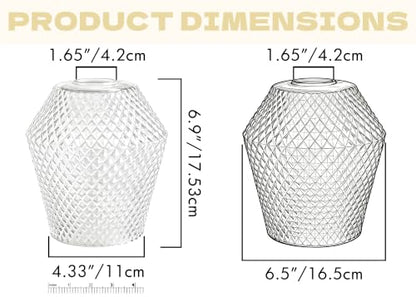 2Pcs Small Glass Lamp Shades (Clear)