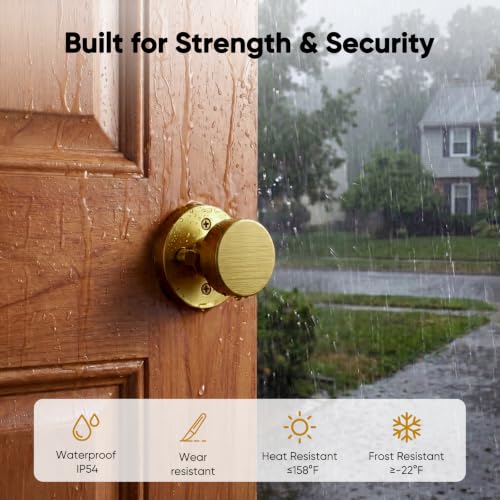 Antique Brass Door Knobs Interior 5 Pack (Antique Brass)
