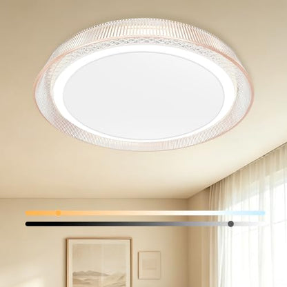 Modern LED Flush Mount Ceiling Light