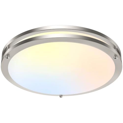 Flush Mount LED Ceiling Light Fixture