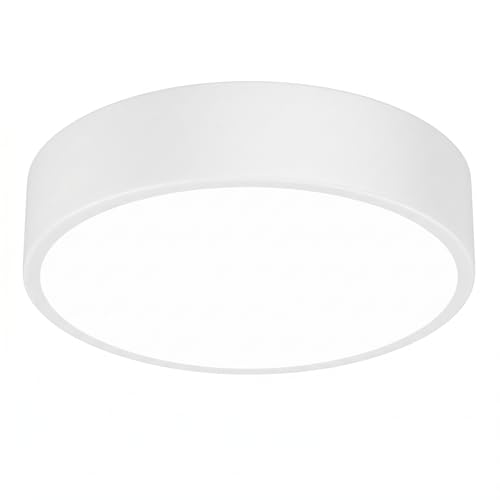 5CCT Dimmable LED Flush Mount Ceiling Light Fixture