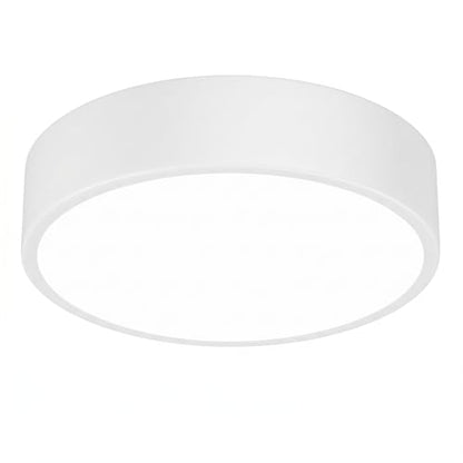 5CCT Dimmable LED Flush Mount Ceiling Light Fixture