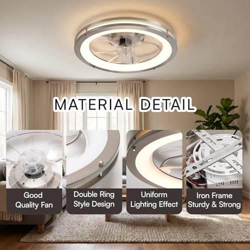 Ceiling Fans with Lights