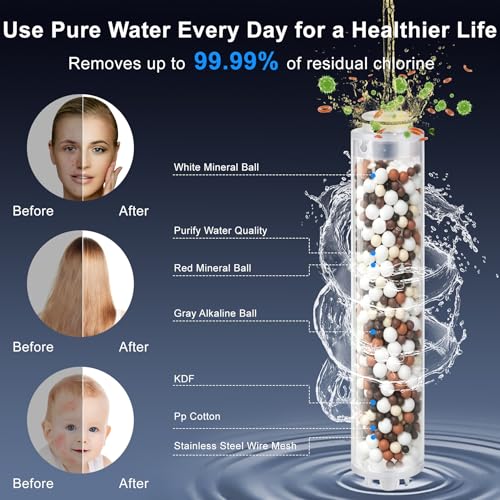 Filtered Shower Head with Handheld