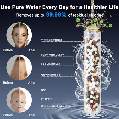 Filtered Shower Head with Handheld