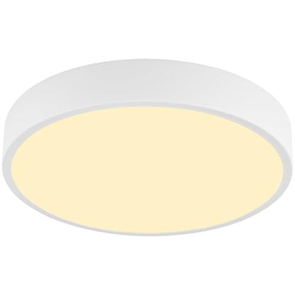 LED Low Profile Flush Mount Ceiling Light Fixture