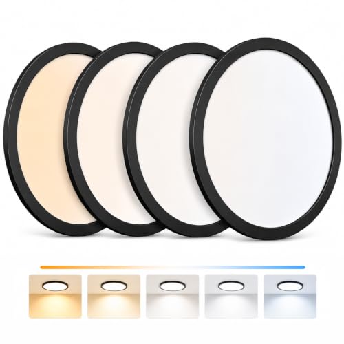 Dimmable LED Flush Mount Ceiling Light Fixtures