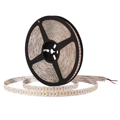32.8ft LED Strip Lights DC24V