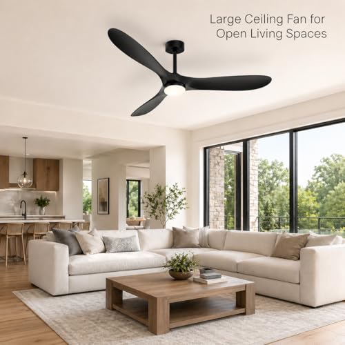 Modern Propeller Ceiling Fan with Light