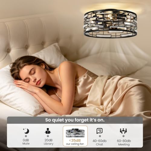Caged Ceiling Fan with Light