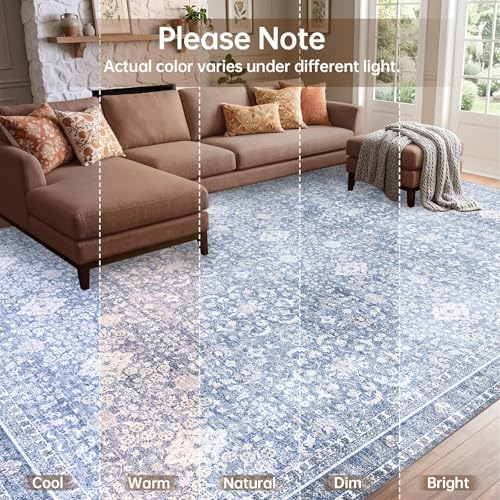 2x3 Area Rugs (Light Blue / 2' x 3' (Rectangular))