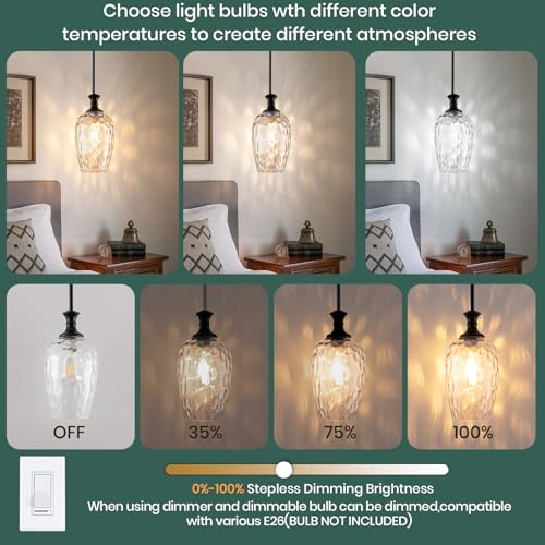 Glass Pendant Lights Kitchen Island (Black)