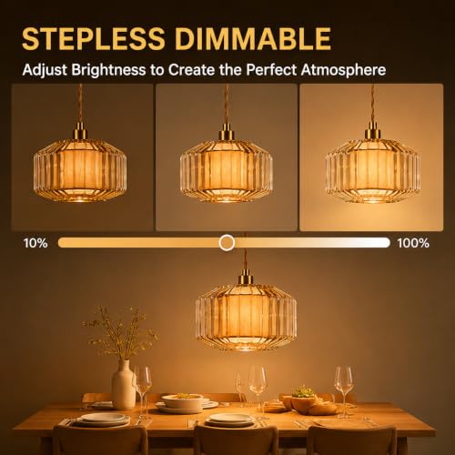 Plug in Pendant Light Cord