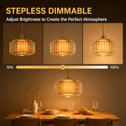 Plug in Pendant Light Cord