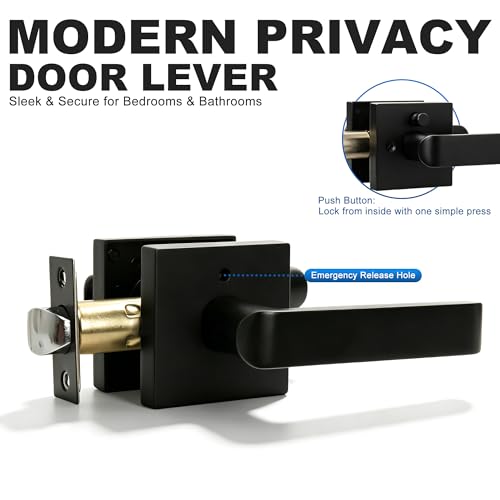 Interior Privacy Door Lever