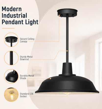 Indoor Pendant Light