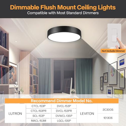 Matte Black Flush Mount Ceiling Light
