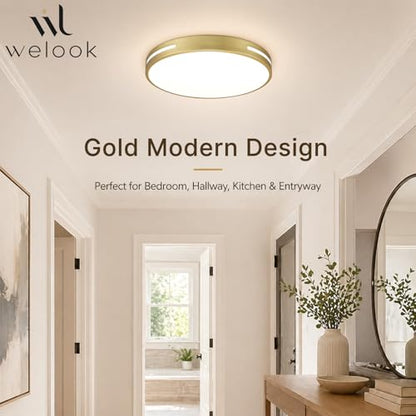 Close to Ceiling Light VC10
