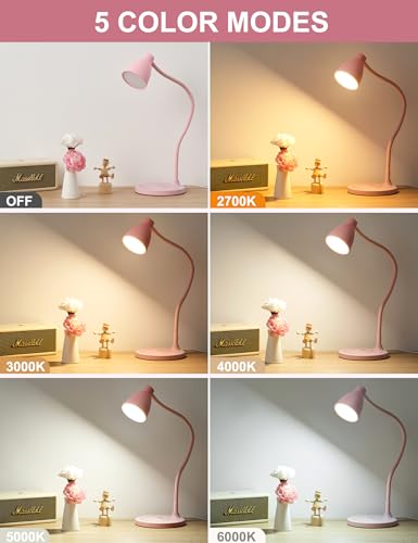 Cute Desk Lamp for Home Office with USB C+A Charging Port Timer Pink (Pink / Standard)