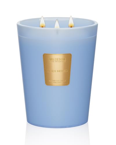 Large Soy Candle
