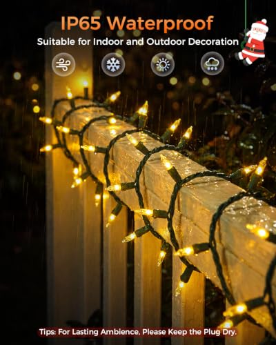 Clear Christmas Lights