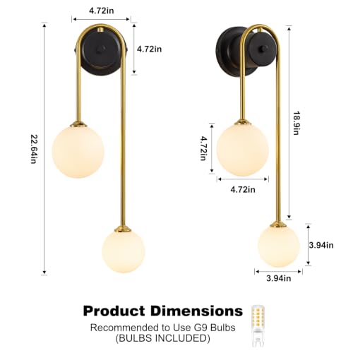 Globe Wall Sconce (Black and Gold)