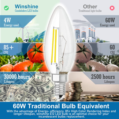 10 Pack E12 Chandelier LED Light Bulbs 60W Equivalent 5000K Daylight (10 Count (Pack of 1))