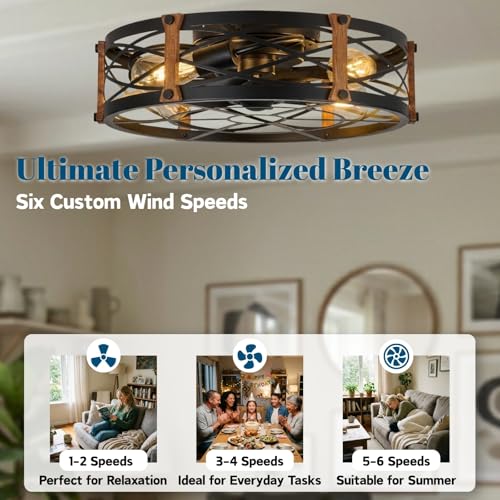 20" Black Farmhouse Caged Ceiling Fan with Light & Remote