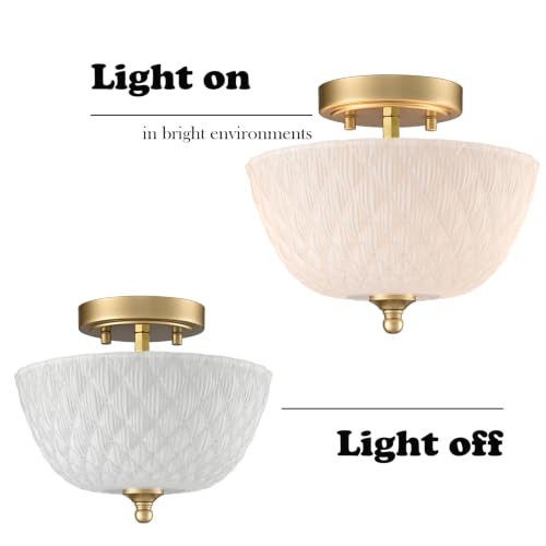 Semi Flush Mount Ceiling Light