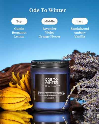 Ode to Winter Scented Candle for Home Natural Soy Wax Non Toxic Cotton Wick Winter Scent (Small Jar / Ode To Winter)