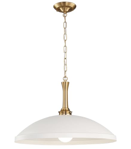 1 Light Pendant Light Fixture