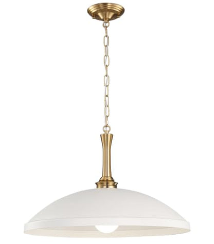 1 Light Pendant Light Fixture