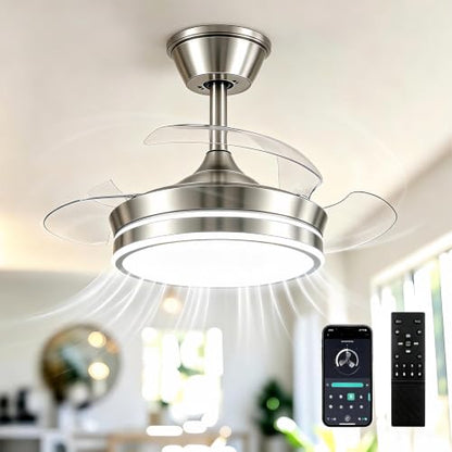 Ceiling Fans with Lights