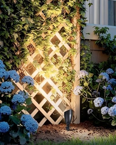 Low Voltage Landscape Lighting