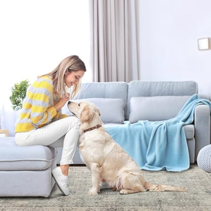 Washable Area Rug 8×10 for Living Room (Grey / 8' x 10' (Rectangular))