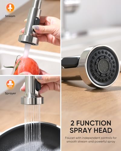 Kitchen Faucet 9009SN