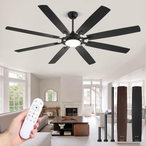 Large Ceiling Fans with Lights