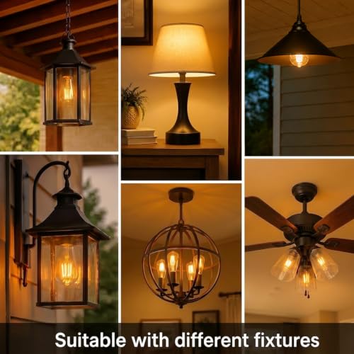 Vintage Edison LED Light Bulbs