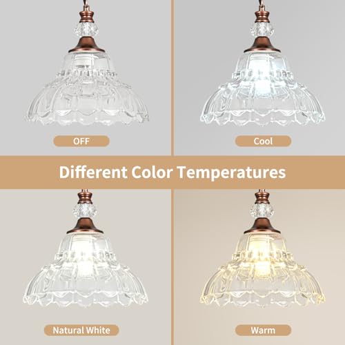 Chandelier with Flower Shade