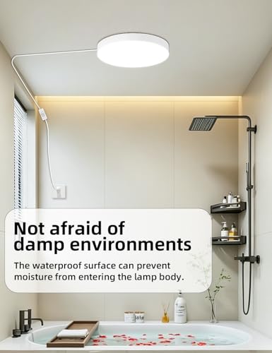 2 Pack LED Plug in Ceiling Light Fixture