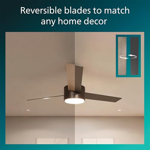Indoor Ceiling Fan with Bright LED Light