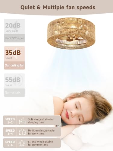 Rattan fandelier Ceiling Fans with Lights