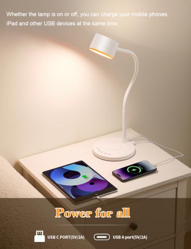 Desk lamp with USB Charging Ports
