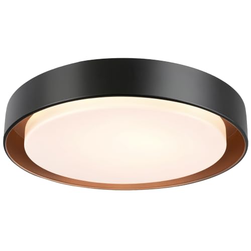 Flush Mount Ceiling Light
