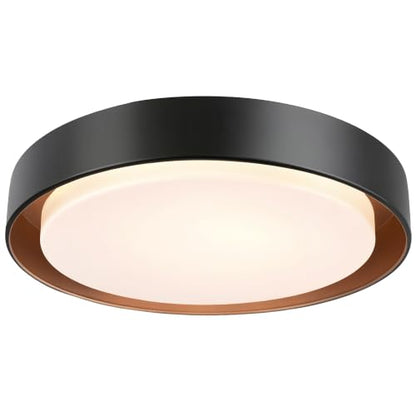 Flush Mount Ceiling Light
