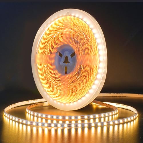32.8ft LED Strip Lights DC24V