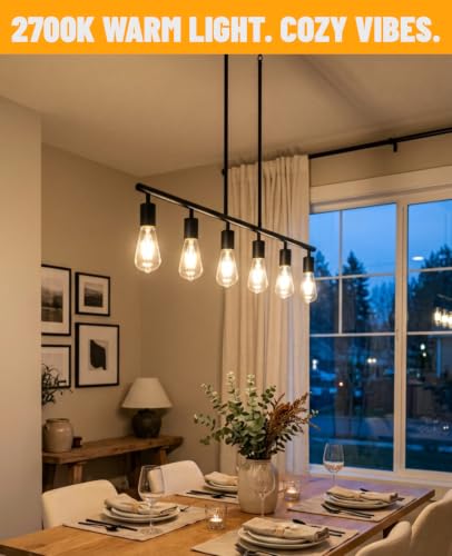 ST19 Vintage LED Edison Light Bulbs